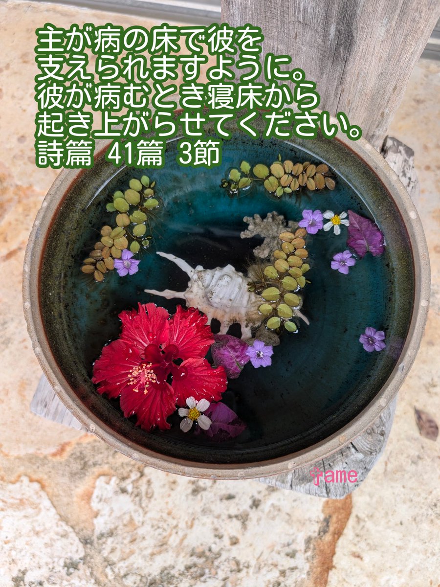Grece50191781's tweet photo. "主が病の床で彼を支えられますように。彼が病むとき寝床から起き上がらせてください。"
詩篇 41篇 3節
聖書 新改訳2017©2017新日本聖書刊行会 https://t.co/eqFiOymDMM