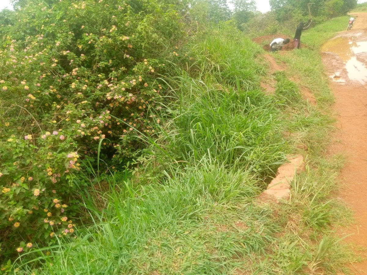 OkelloOpiti's tweet photo. The state of roads in Uganda is worrying, @GovUganda has left local communities with the responsibility of repairing and maintaining roads. We are left wondering why we are paying taxes @URAuganda. Old Mbale Rd.
@acomalobo 
@EchoduOfficial 
@Parliament_Ug 
@IGGUganda 
@GenWamala https://t.co/FEsw5PHYE3