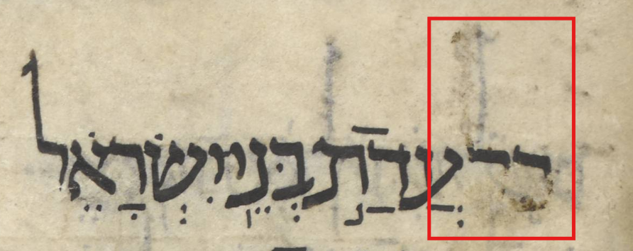 Kim Phillips tweet media