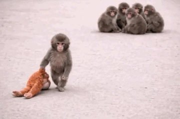 ShikanoAndPunch's tweet image. You are never alone with Shikano❤️
#Shikano #PunchMonkey