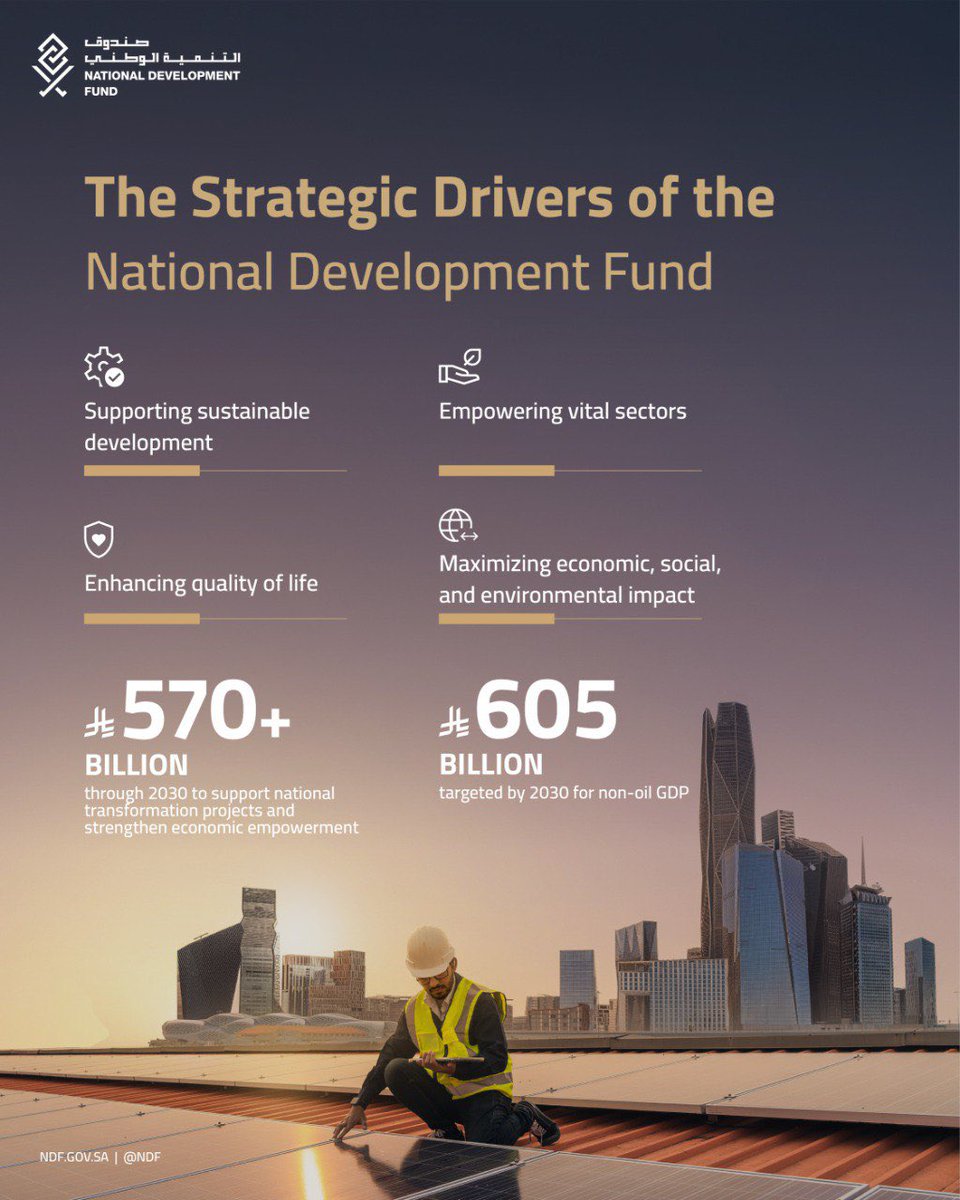 صندوق التنمية الوطني tweet media