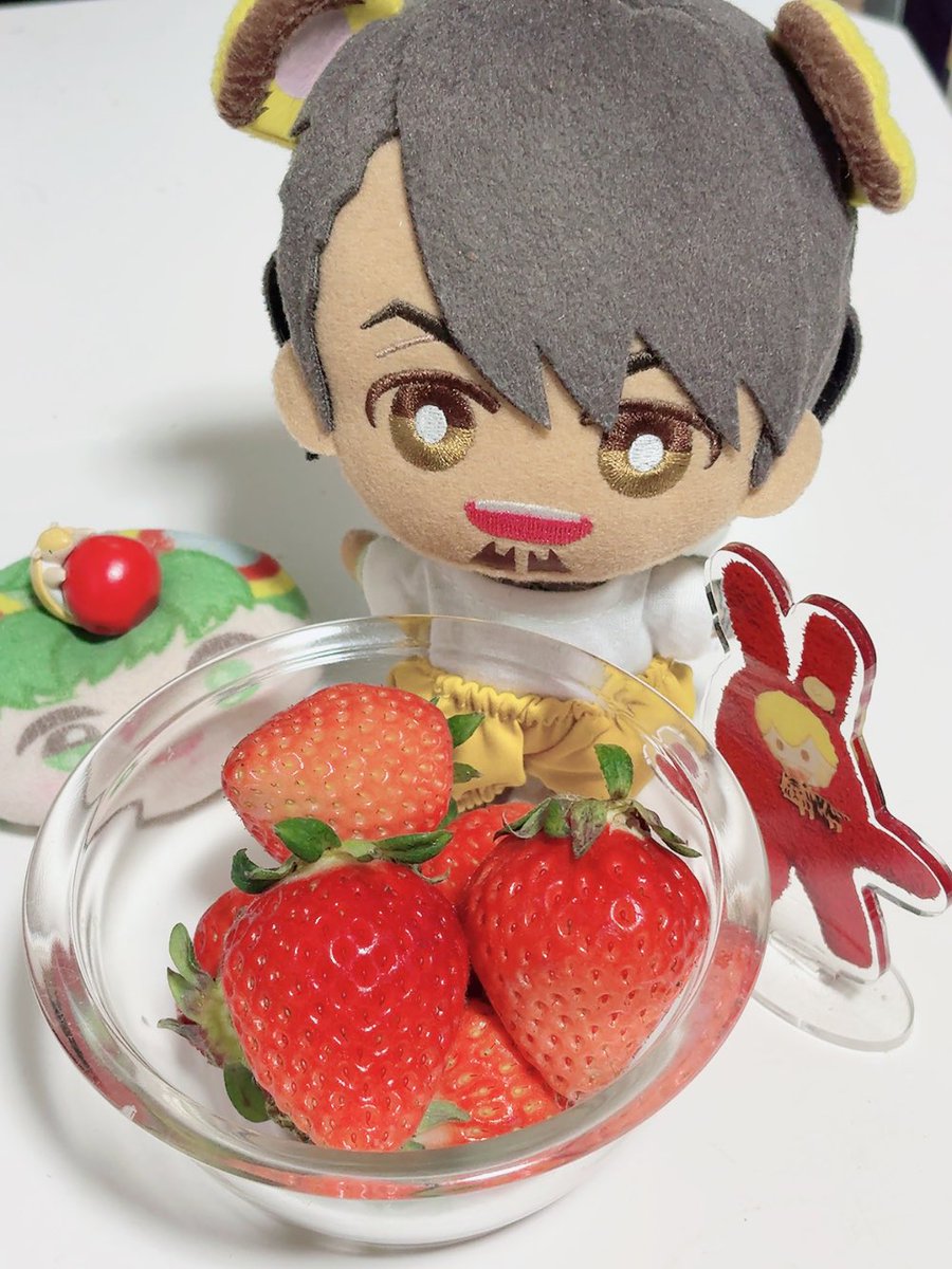 シロ🐰🐯 (@shiro880) / Posts / X