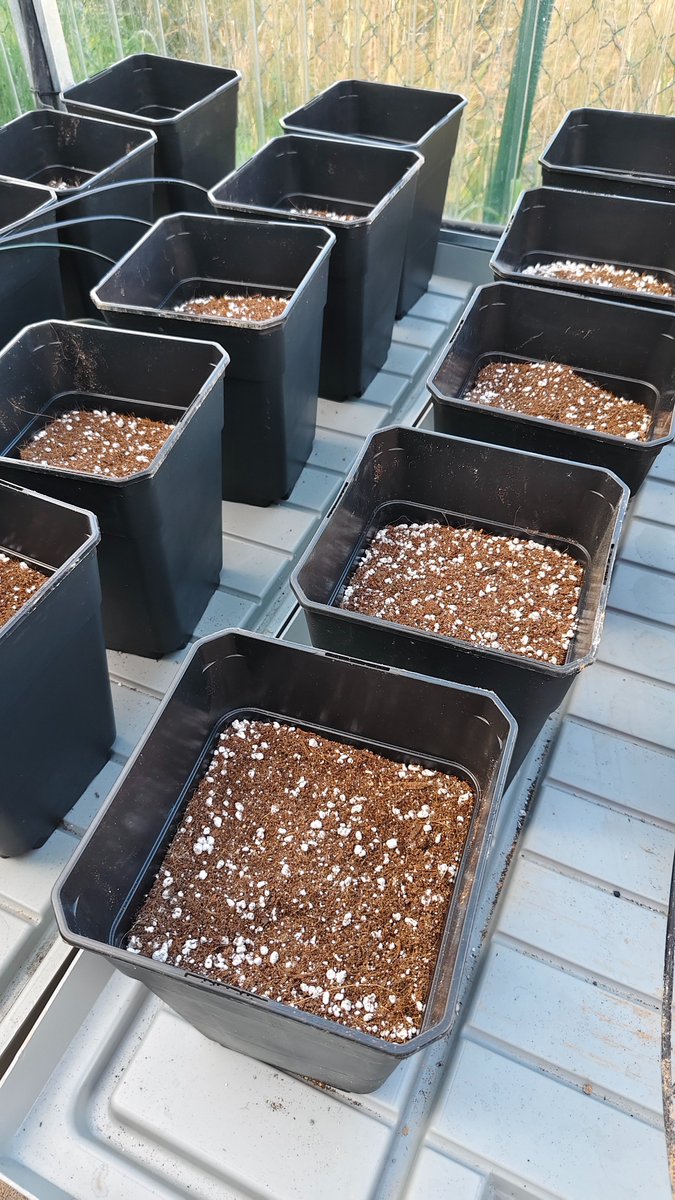 Life ABATE tweet media