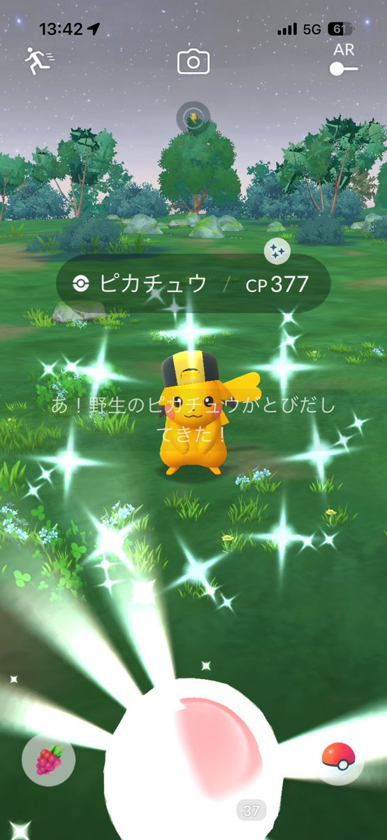 natsuBizarreSS's tweet photo. 昨日レイドやったらピカチュウが光りました！
のんびり10年ポケGOやってきて初めての色ちがいピカチュウ！念願だった…！
#ポケモンGO
#今日の色違い https://t.co/SsF6qJwDJc