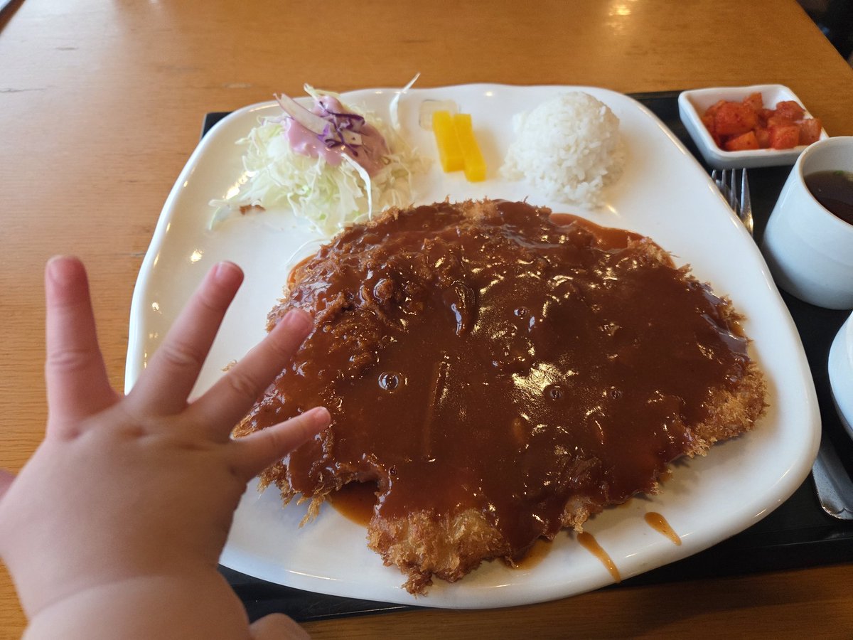 돈까스 엄청 크다.

내 손의 3배는 되는 듯.