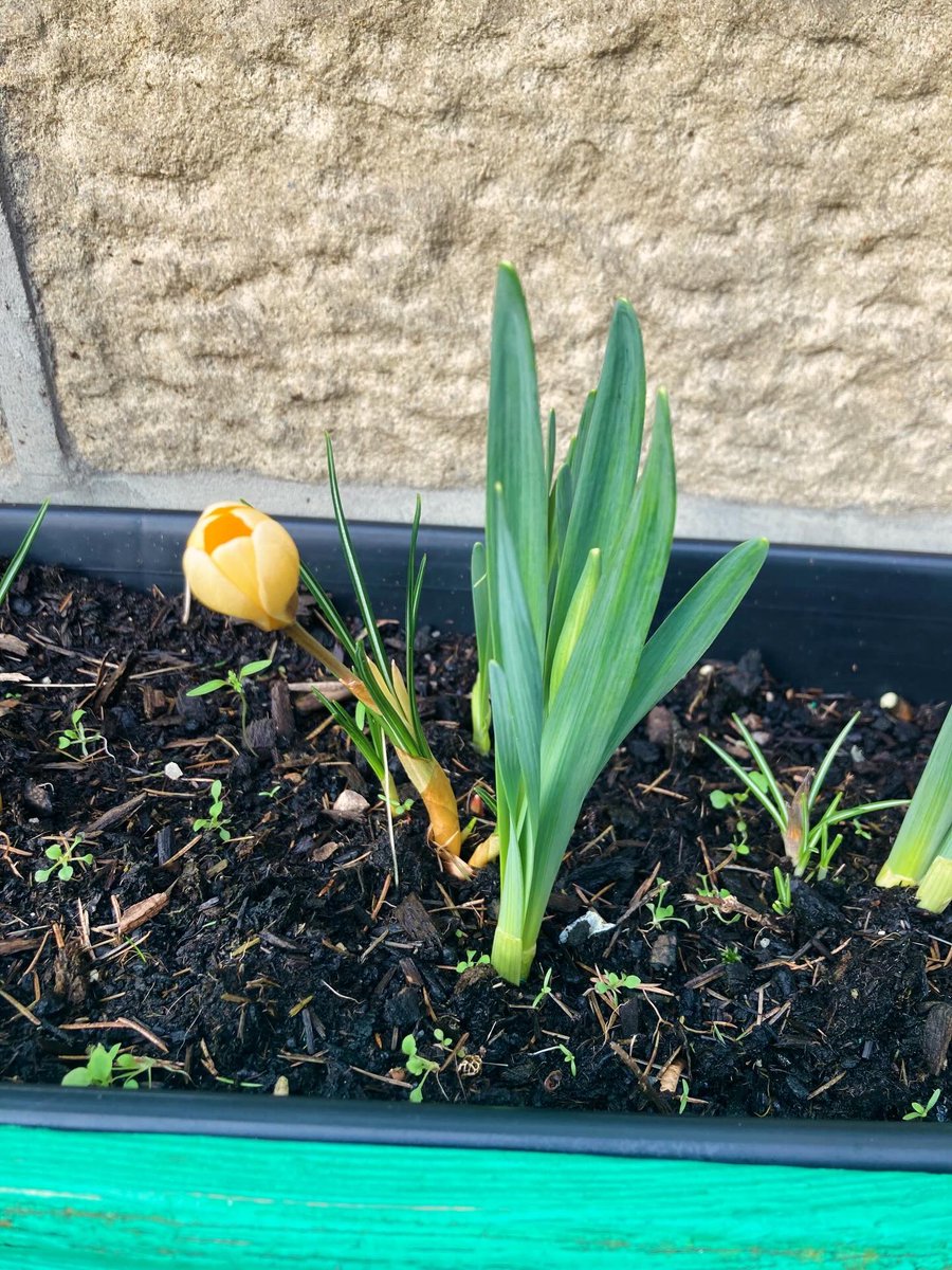 Steeton Primary tweet media