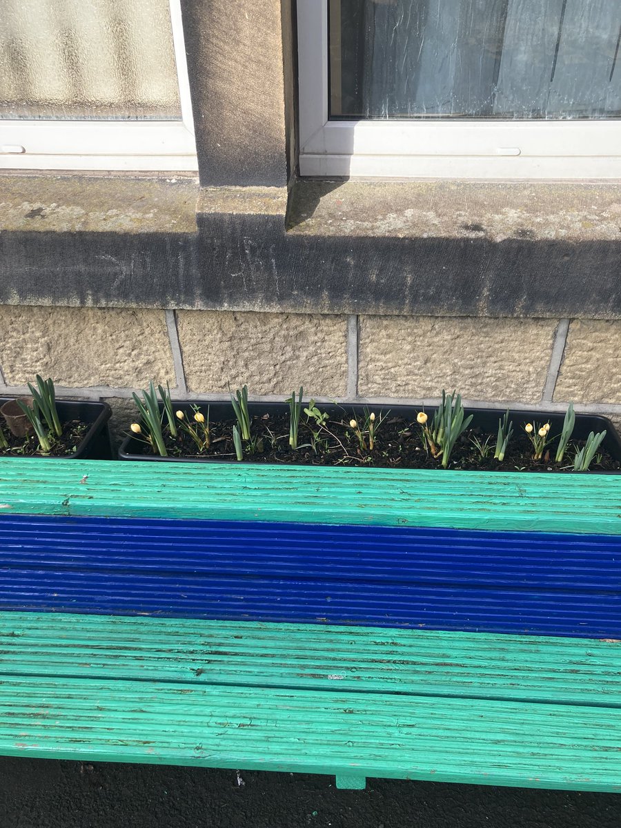 Steeton Primary tweet media