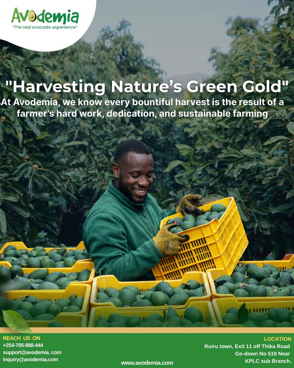 avodemia's tweet photo. This is more than farming; it’s a shared journey toward quality, sustainability, and growth.
At Avodemia, we work hand-in-hand with farmers to deliver harvests that meet global standards 
📞 +254 705 888 444
📧 support@avodemia.com| inquiry@avodemia.com
🌐 https://t.co/uIXOlxd4DS https://t.co/12COXbYNtG