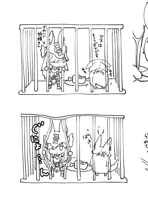 マヌ様のことたぬきだと思ってる(不敬 