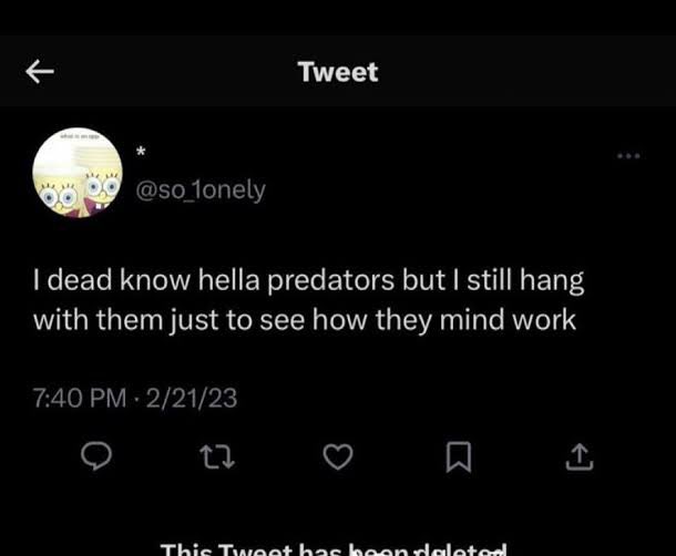 okay sick so there really are a lot more people than i thought who are just chill with pedos and fascists having a platform and making a bag