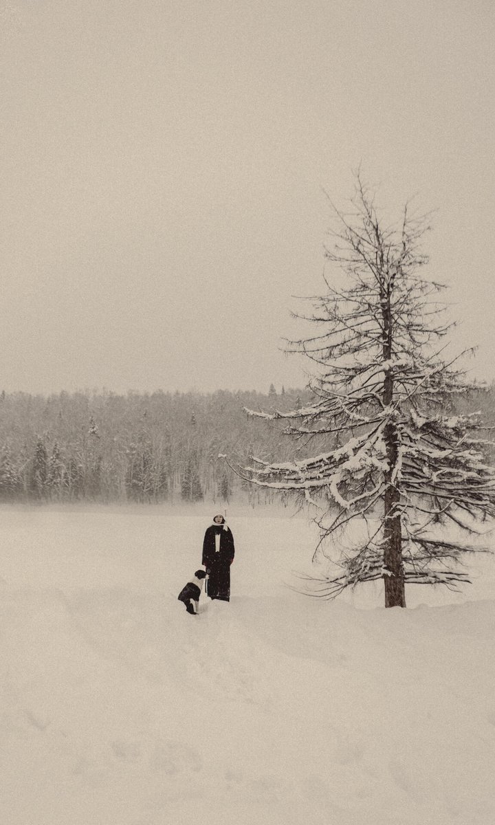 花间晚风 tweet media