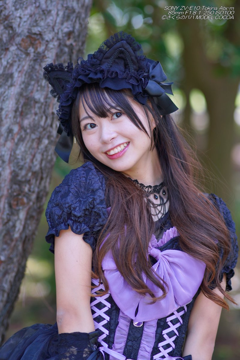 🇺🇦さくら🐇のパパ🇯🇵高配当株に移行中🇺🇦 (@K70_55) / Posts / X