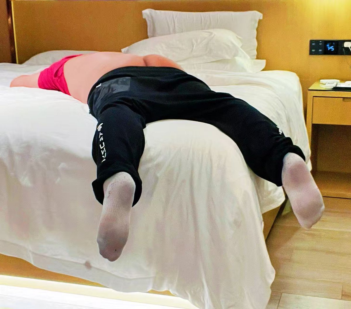 Stingbear tweet media