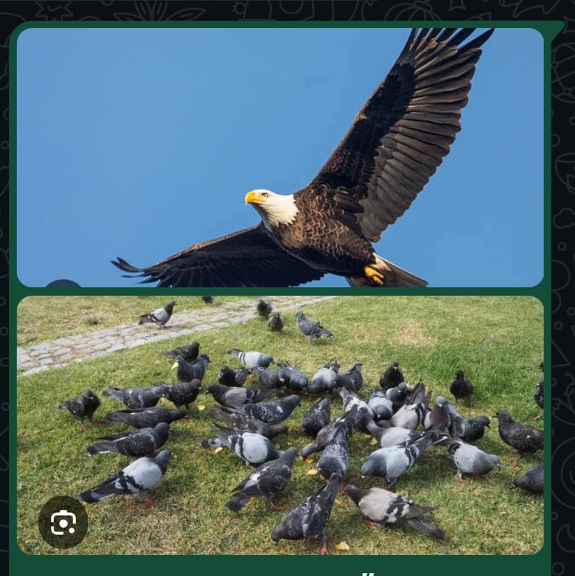 CA Hitesh Merchant, Mumbai tweet media