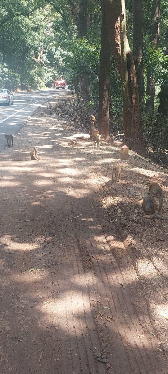 Mike S ⁉️ tweet media