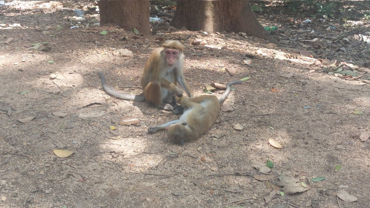 Mike S ⁉️ tweet media