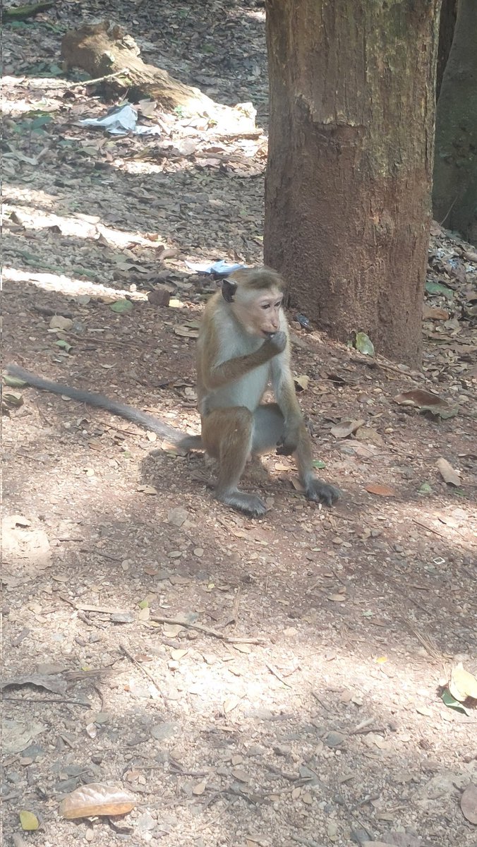 Mike S ⁉️ tweet media