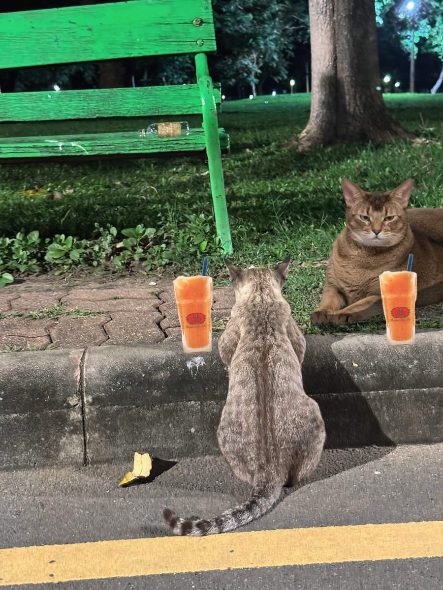 🐱🧋🐱🧋
#LEONLEE #Leon #리언
