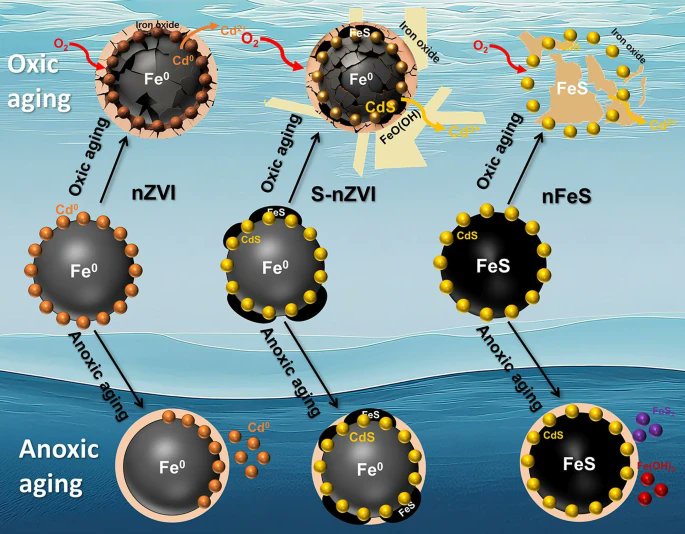 EngEnv_journal's tweet photo. How stable is “treated” #Cd after #nanoparticle #remediation? Our study tracks the dynamic remobilization of Cd from #nZVI, #SnZVI, and #nFeS under oxic vs anoxic conditions.
Read more:
https://t.co/cdD0F0rbOn https://t.co/O8PlxGQCiL