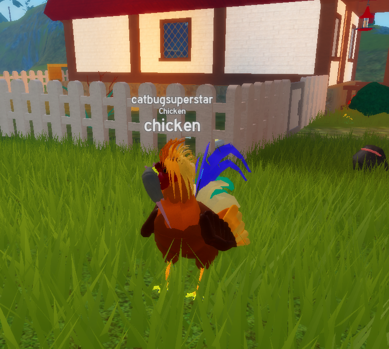 chicken boy 🐓 tweet media