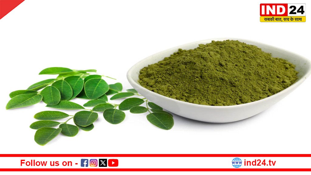 IND24MEDIA's tweet image. मोरिंगा पाउडर: इम्यूनिटी बूस्ट से लेकर वेट लॉस तक का राज

ind24.tv/lifestyle/mori…

#MoringaBenefits #Superfood #HealthyLifestyle #NaturalHealth #WeightLossJourney #ImmunityBoost #PlantBased #HolisticHealth #WellnessTips