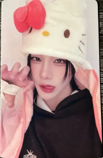 ✧sasha tweet media