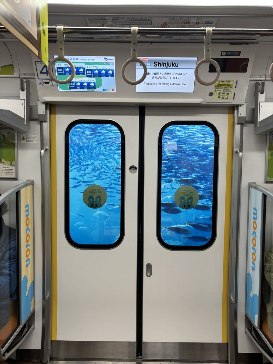 もちこ tweet media