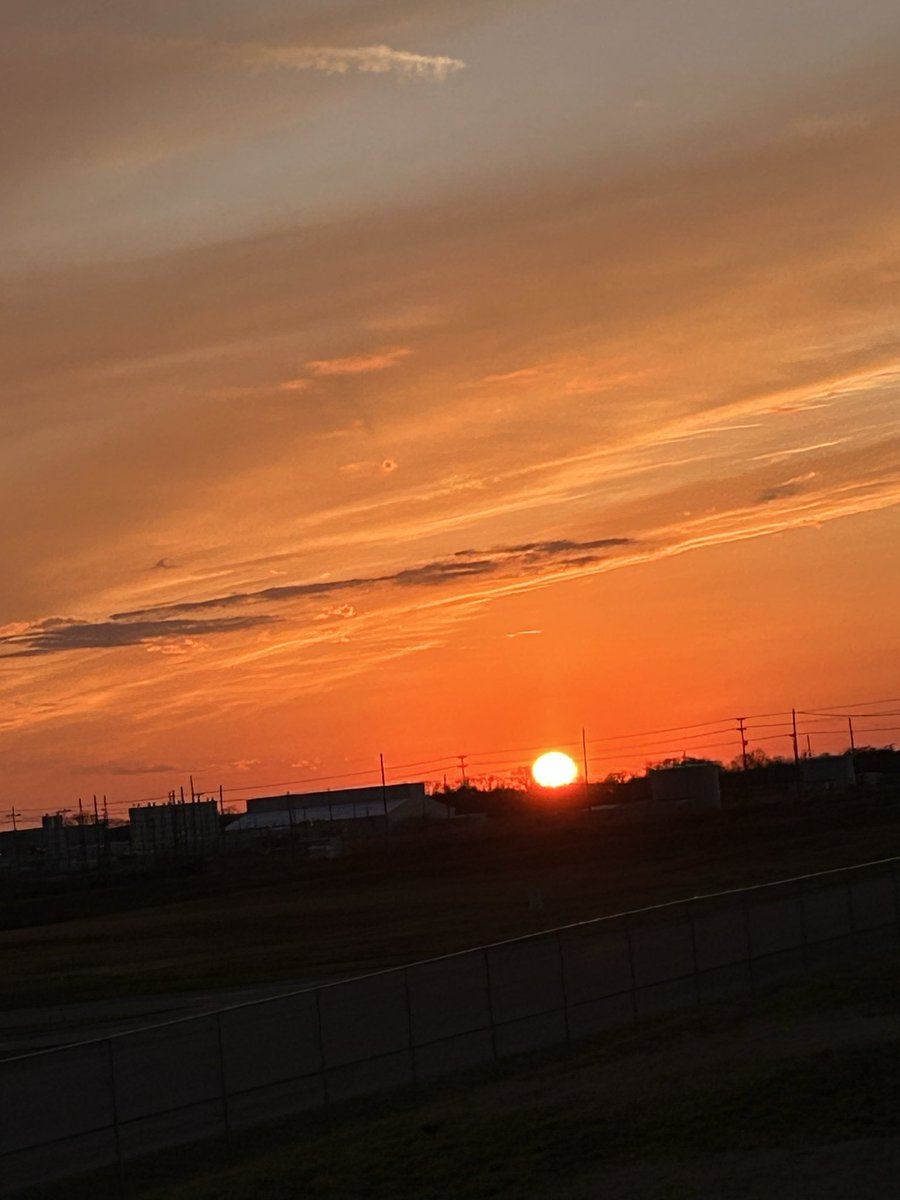 Plethora Of Stories tweet media