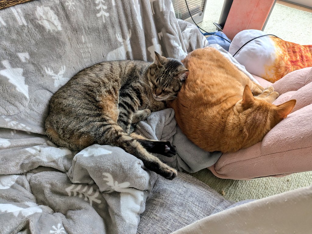 ゆあ ｜ ライター🖊 (@yunc24291) / Posts / X