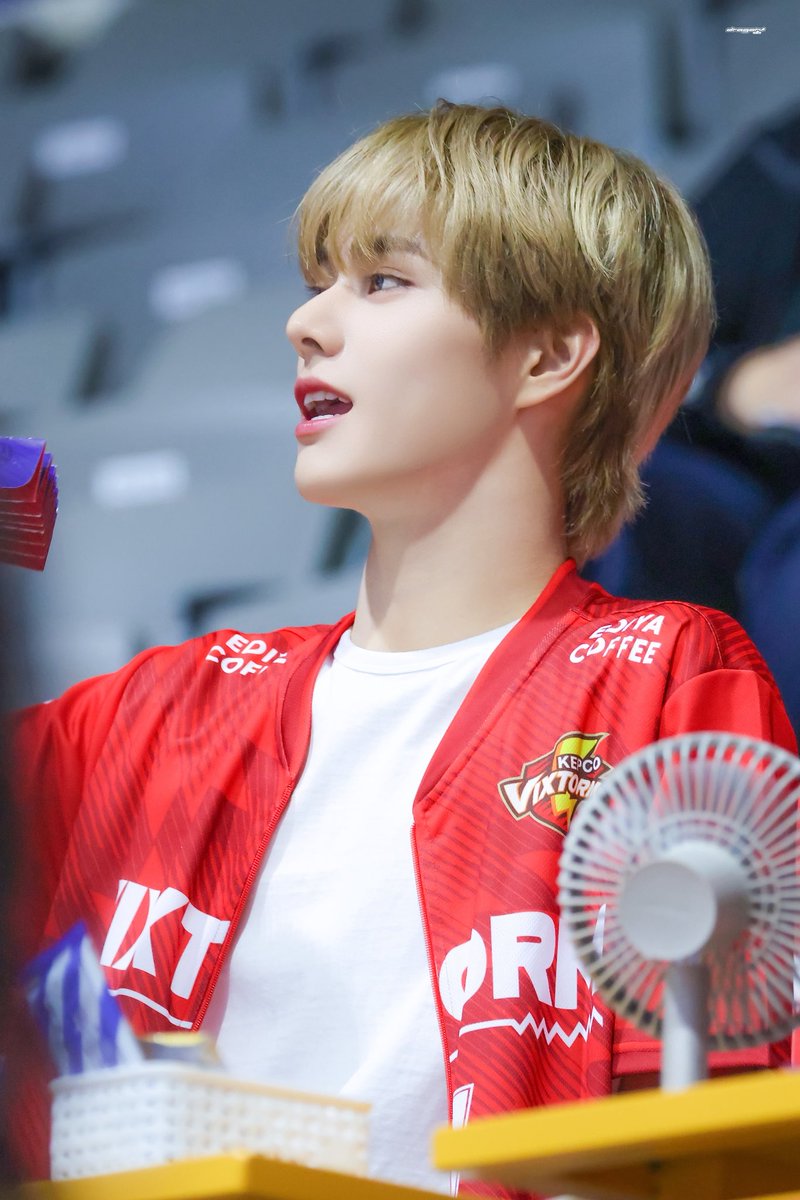 HQ #진식 #JINSIK #싸이커스 #xikers #진또배기_진