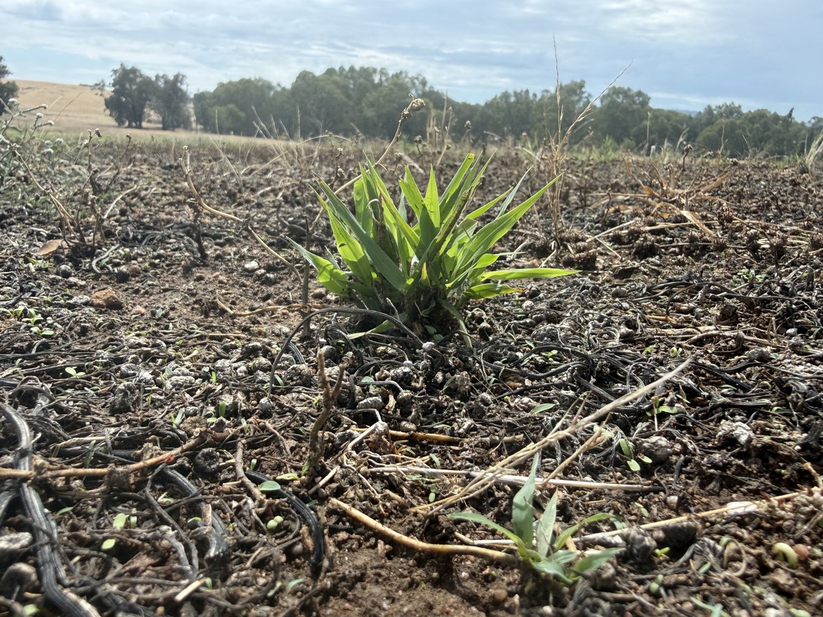 Andrew Freshwater tweet media