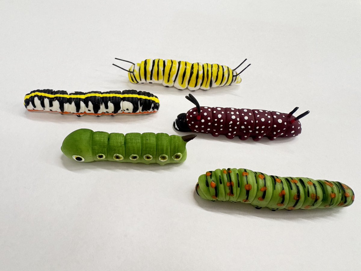 【公式】レインボー (樹脂粘土ミニチュア他ガチャ商品メーカー） tweet media