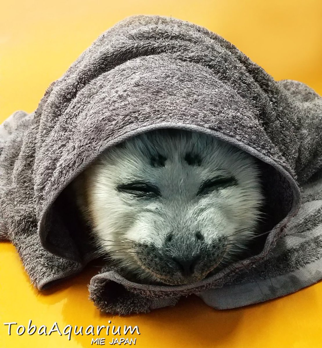 💢 psyche. tweet media