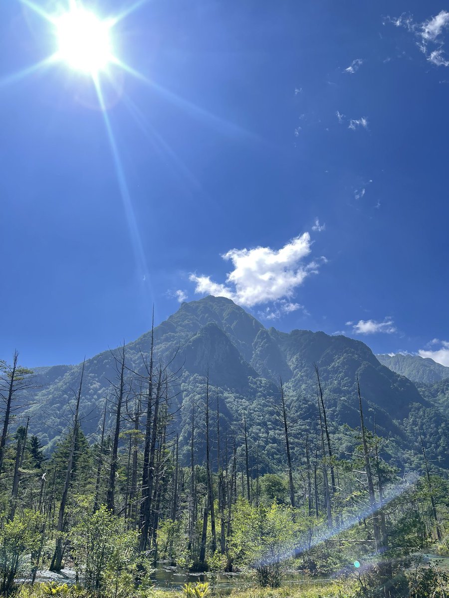 #STEPN

大きく3つ

・STEPNをはじめ他web3関係に携わる方と交流し社会勉強になっているのは大きい。
・地形、駅に詳しくなりその土地の文化や地政学に興味が湧くようになった。
・時間管理、体力の調整、身体調整、体調の波や変化の認知精度向上。

さあSTEPNで歩こう

 #投資助言ではありません