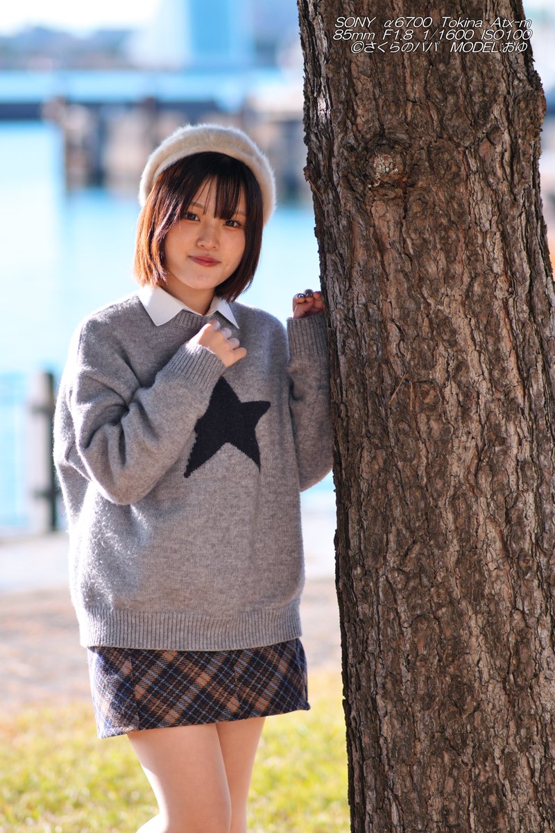 🇺🇦さくら🐇のパパ🇯🇵高配当株に移行中🇺🇦 (@K70_55) / Posts / X