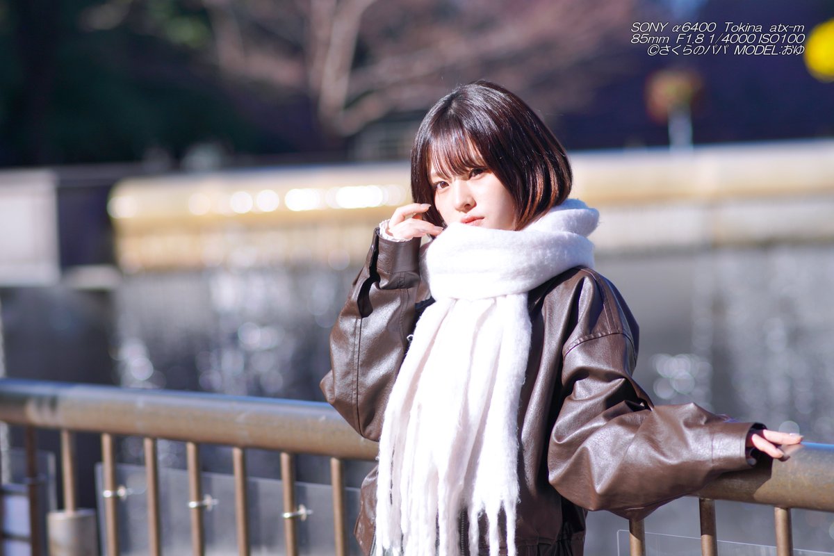 🇺🇦さくら🐇のパパ🇯🇵高配当株に移行中🇺🇦 (@K70_55) / Posts / X