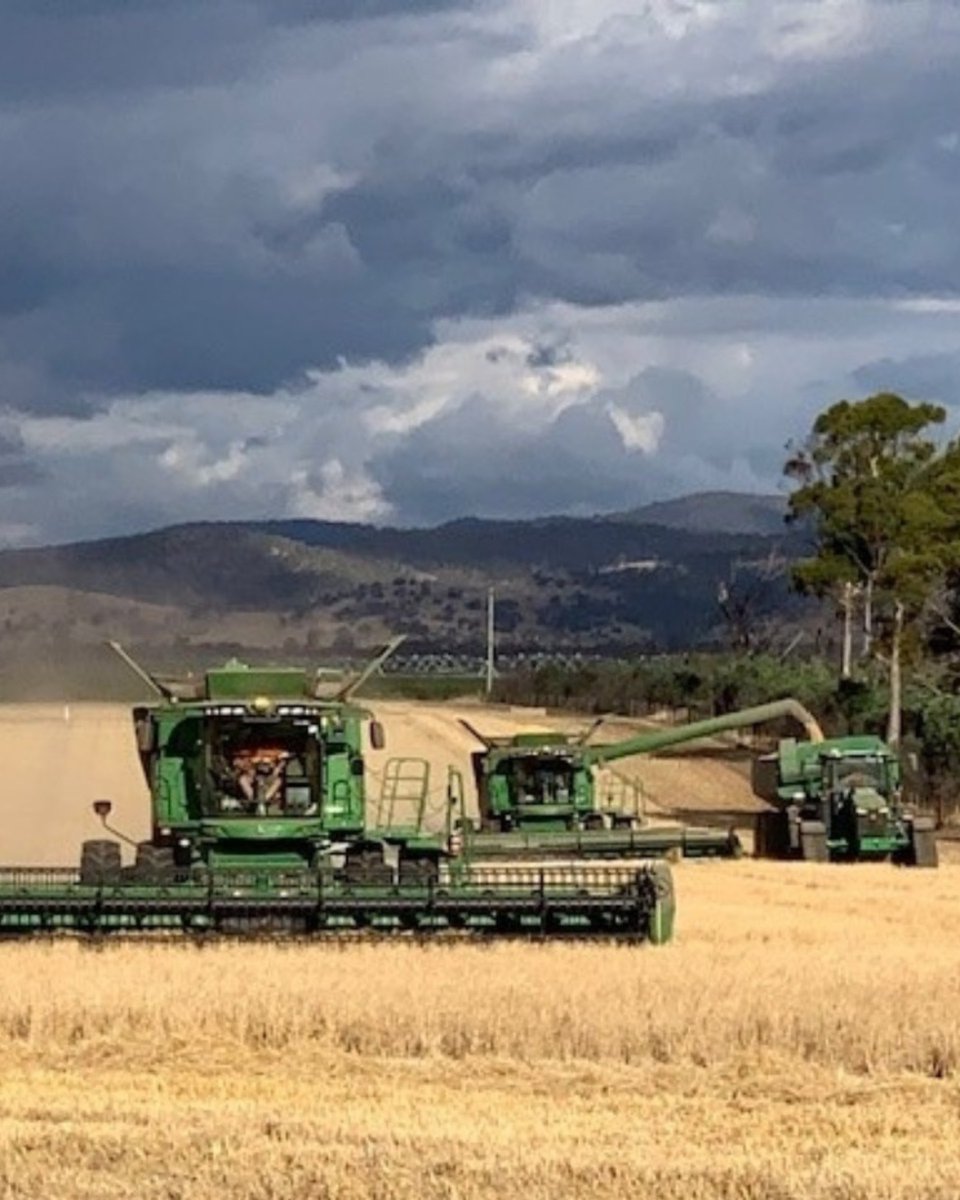 Callington_Mill's tweet photo. Distilling a Legacy for Tomorrow

At Callington Mill, our distillery is more than just a place of production; it’s a commitment to the soil, the spirit, and the future of rural Tasmania. Sustainability is built into our DNA.

#CallingtonMillDistillery #Tasmania #Whisky https://t.co/5JzqiNiks1
