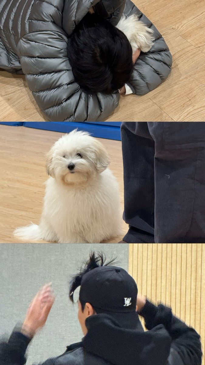 꼬순이가 파묻혀버린게 넘ㅠㅠㅋㅋㅋㅋ 강쥐 이뻐하는 팅탑이 너무 조아요..... 와중에 최쫑 앞머리에는 무슨 일이•••