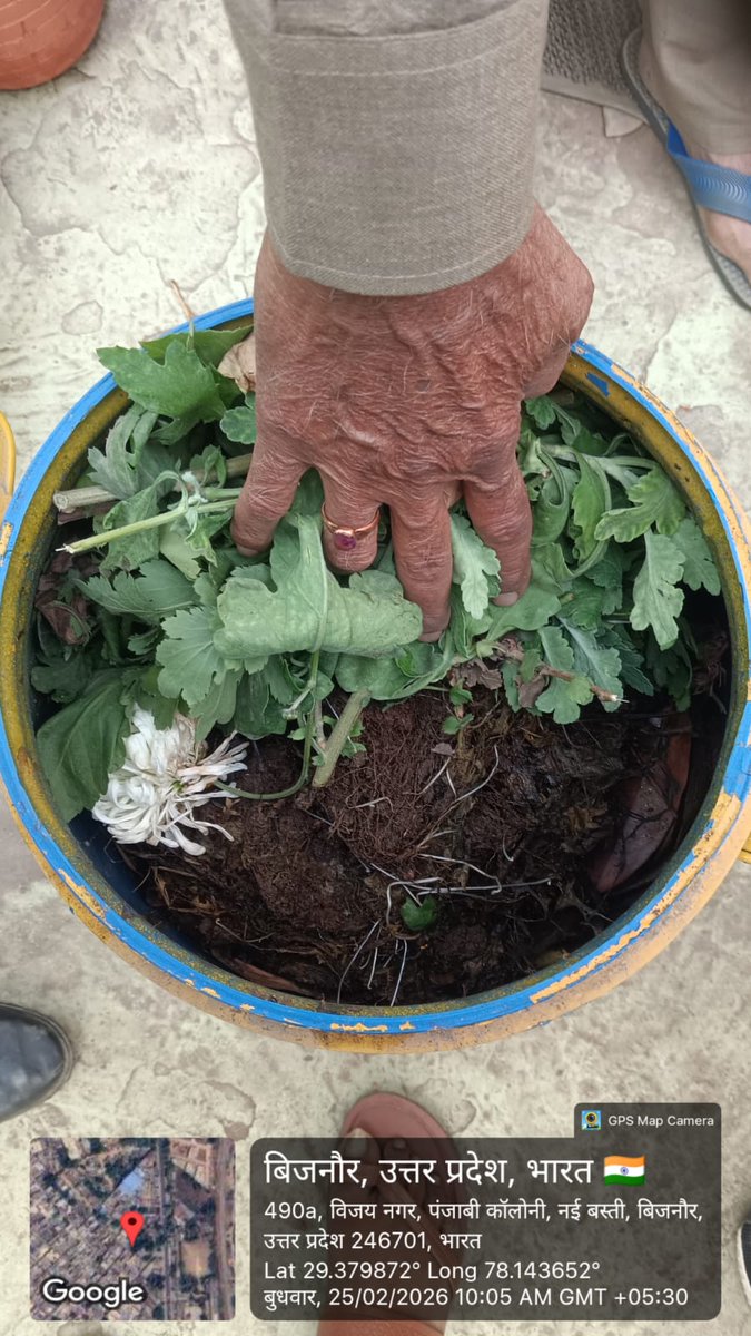 BijnorNpp's tweet photo. स्वच्छ वार्ड प्रतियोगिता के अन्तर्गत होम कम्पोस्टिंग विजिट
#SwabhavSwachhata
#SwachhataHiSeva2025
#itc_mission_sunahara_kal
#SwachhUP
#SwachhBharat
#Sbm_up
#Nagarvikas_UP
#ITCCorpCom
#SwachhSurvekshan2025
#UDDuttarpradesh
#lakshyafordevelopment
#cleanbijnor
#indirasinghbjp https://t.co/bQLo5fZdIP