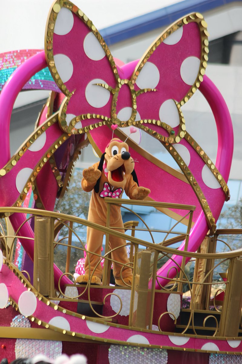 しれっと昨日いました🏰ファンダフル前回と全く同じ席でしたꉂꉂ ( ˆoˆ  )w