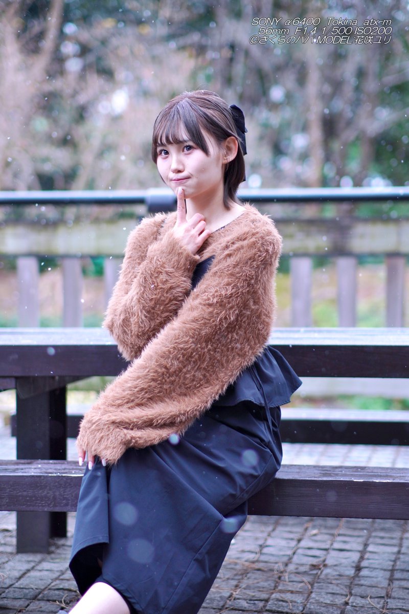 🇺🇦さくら🐇のパパ🇯🇵高配当株に移行中🇺🇦 (@K70_55) / Posts / X