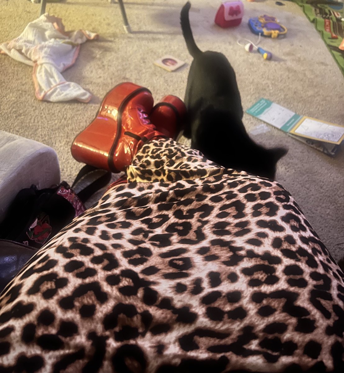 salacious_fox's tweet photo. the fit today :3 https://t.co/DwIp69vndB