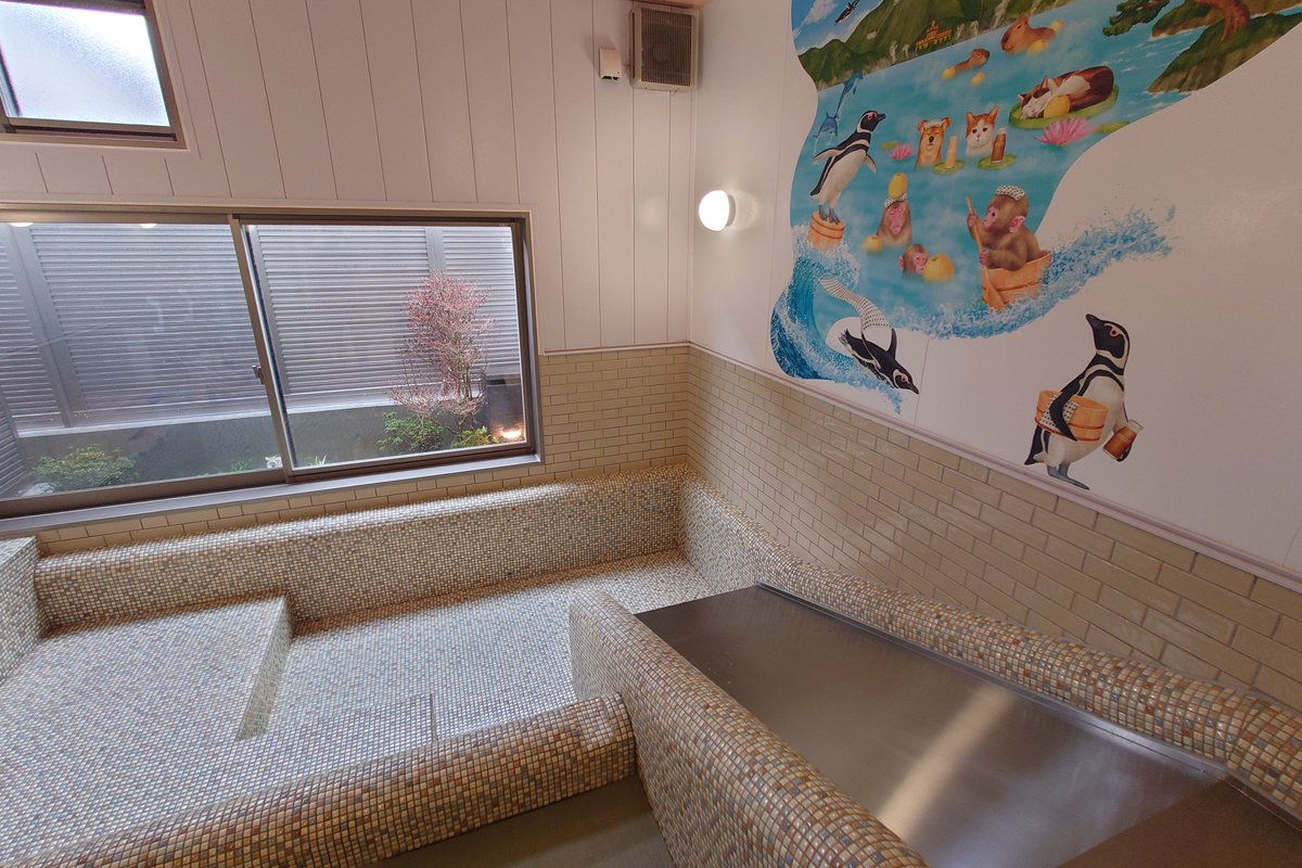 むーさん🍥 (@mufumega) / Posts / X