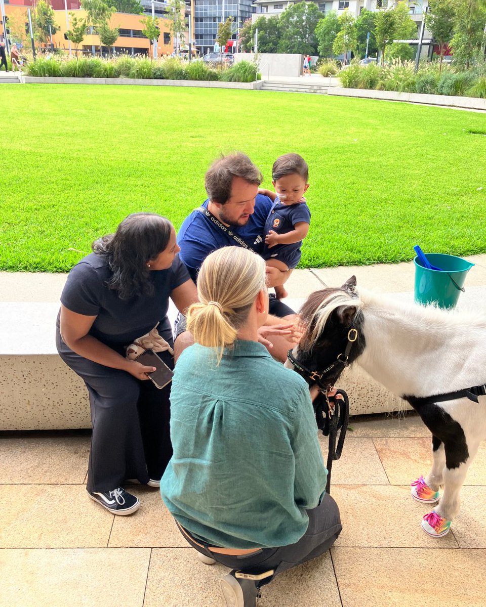 Starlight Australia tweet media