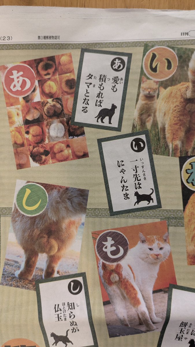 今年の「日刊ニャンダイ2026」 コンビニにあるのは、だいたい今