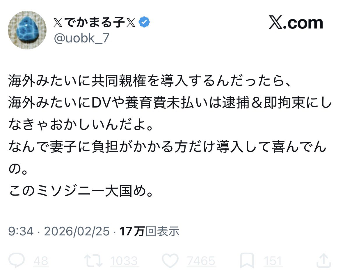 海外みたいに実子誘拐が逮捕&amp;即拘束に向かってなくて助かってる人がこういうのを言うと、なんか不思議。