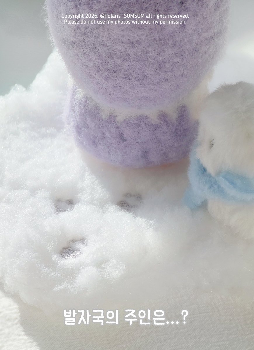 Polaris🧸 tweet media