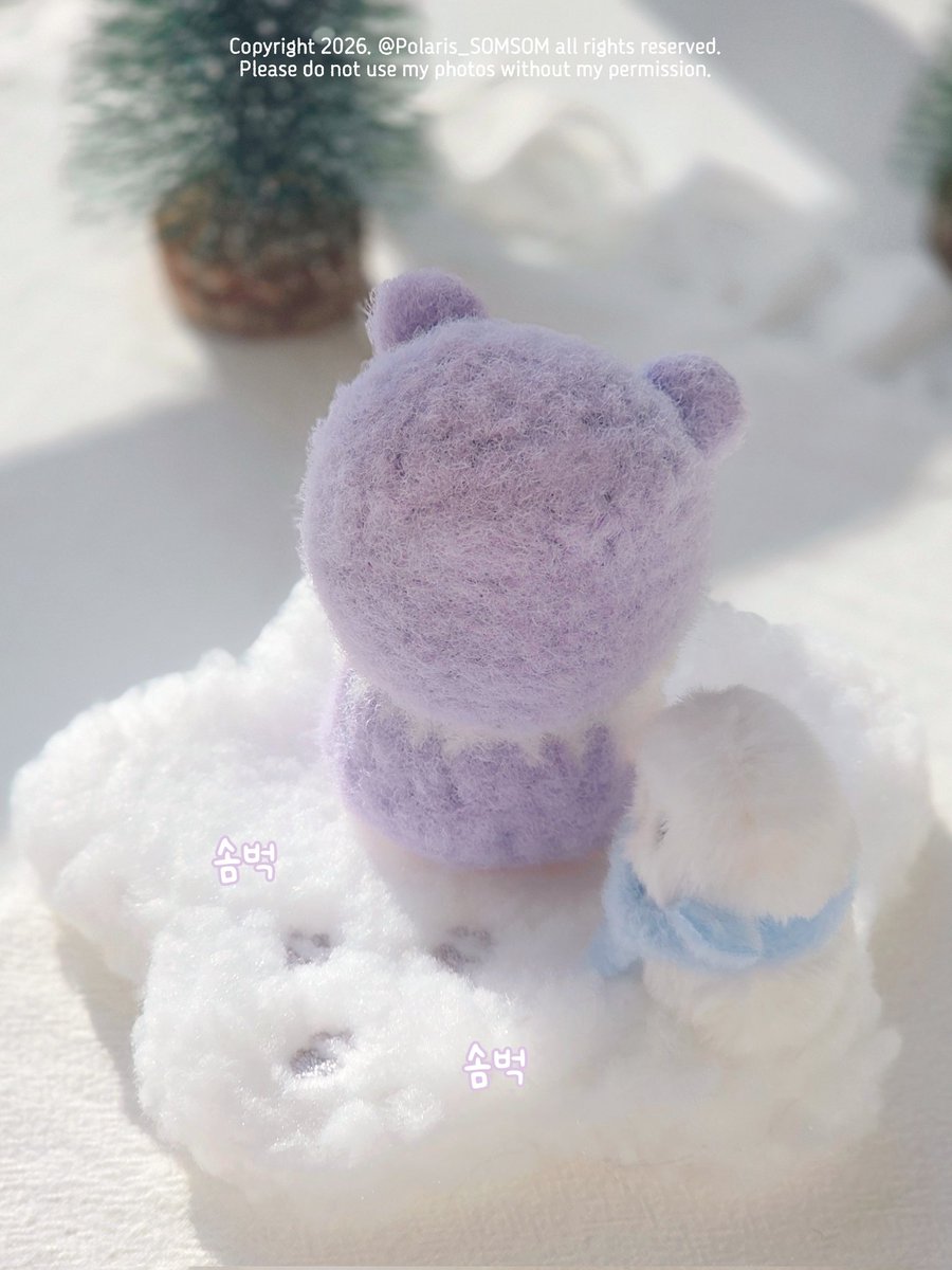 Polaris🧸 tweet media