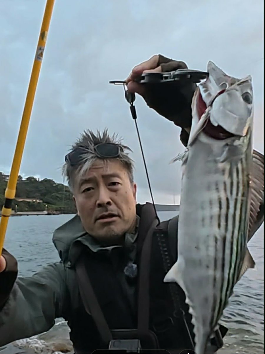 palms_global's tweet photo. Light Game Fishing with Miniature Dax in Sydney, Australia 🇦🇺
Rod: Quattro 65L (Travel rod)
Lure: Miniature Dax 10g Glow pink color(G-04)
Cheers Nabu !!
#palmsfishing #lightgame #lightgamefishing #fishingaustralia #ejtodd @ej_todd @palms_japan https://t.co/xBHL41eUsq