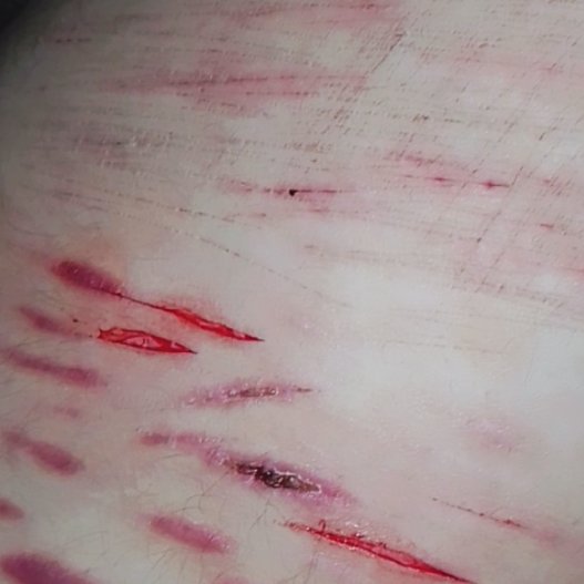 velsc4ls's tweet photo. styros

small sesh with my new blades! they were so sharp, one swipes with barely any pressure (⁠･⁠o⁠･⁠;⁠) https://t.co/FjBeTaZ4Qf